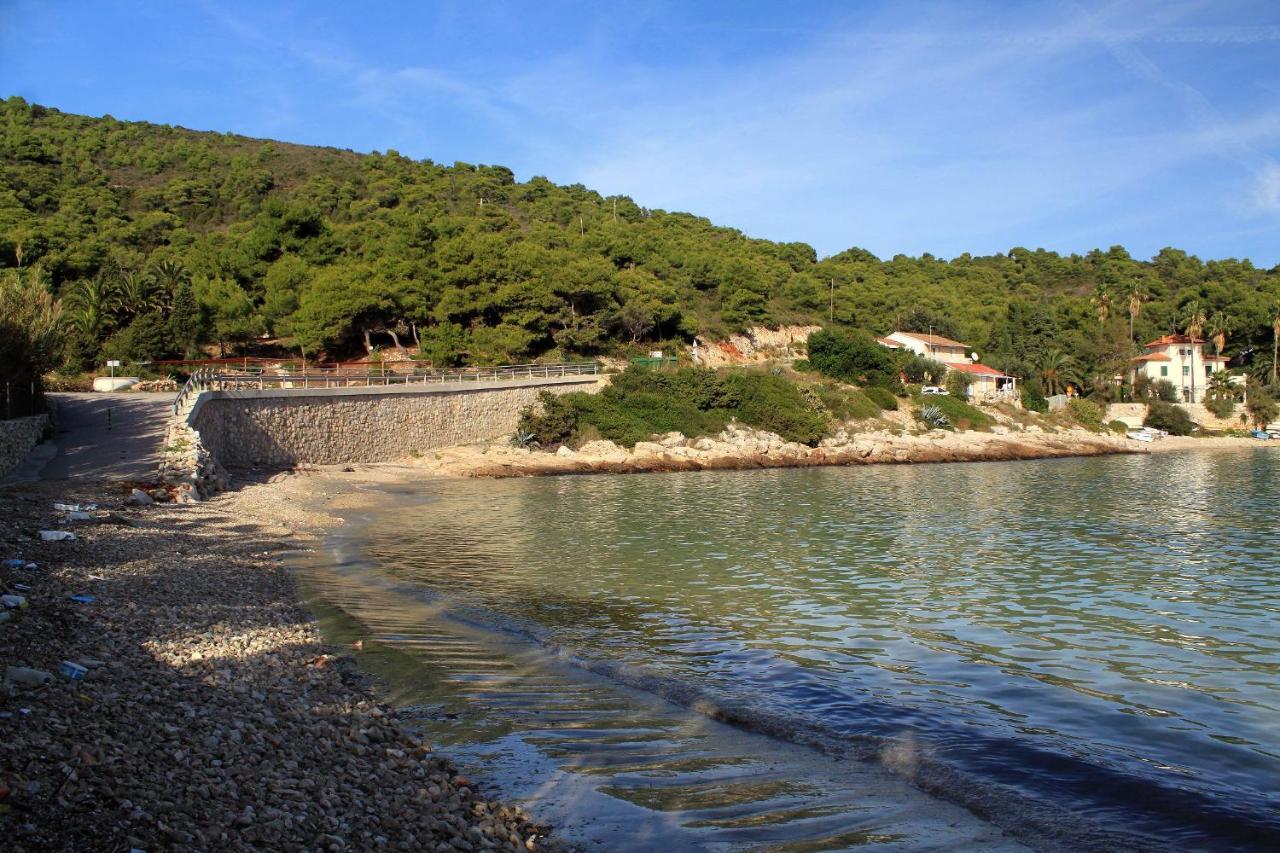 Apartments By The Sea Milna, Vis - 8913 ภายนอก รูปภาพ