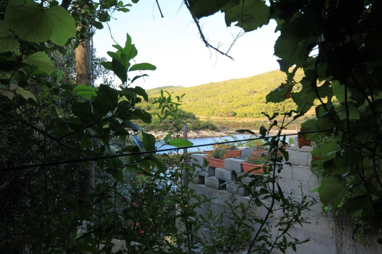 Apartments By The Sea Milna, Vis - 8913 ภายนอก รูปภาพ